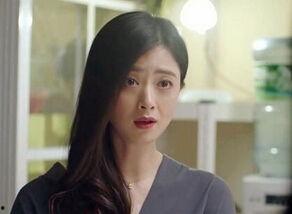 樊胜美是什么电视剧